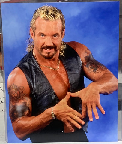 DDP Diamond Dallas Page 8x10 Color Photo