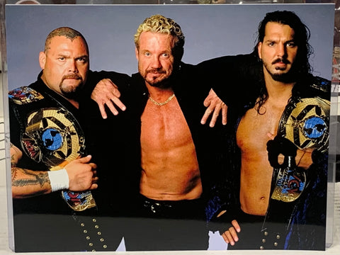 DDP Diamond Dallas Page, Bam Bam Bigelow & Kanyon 8x10 Color Photo