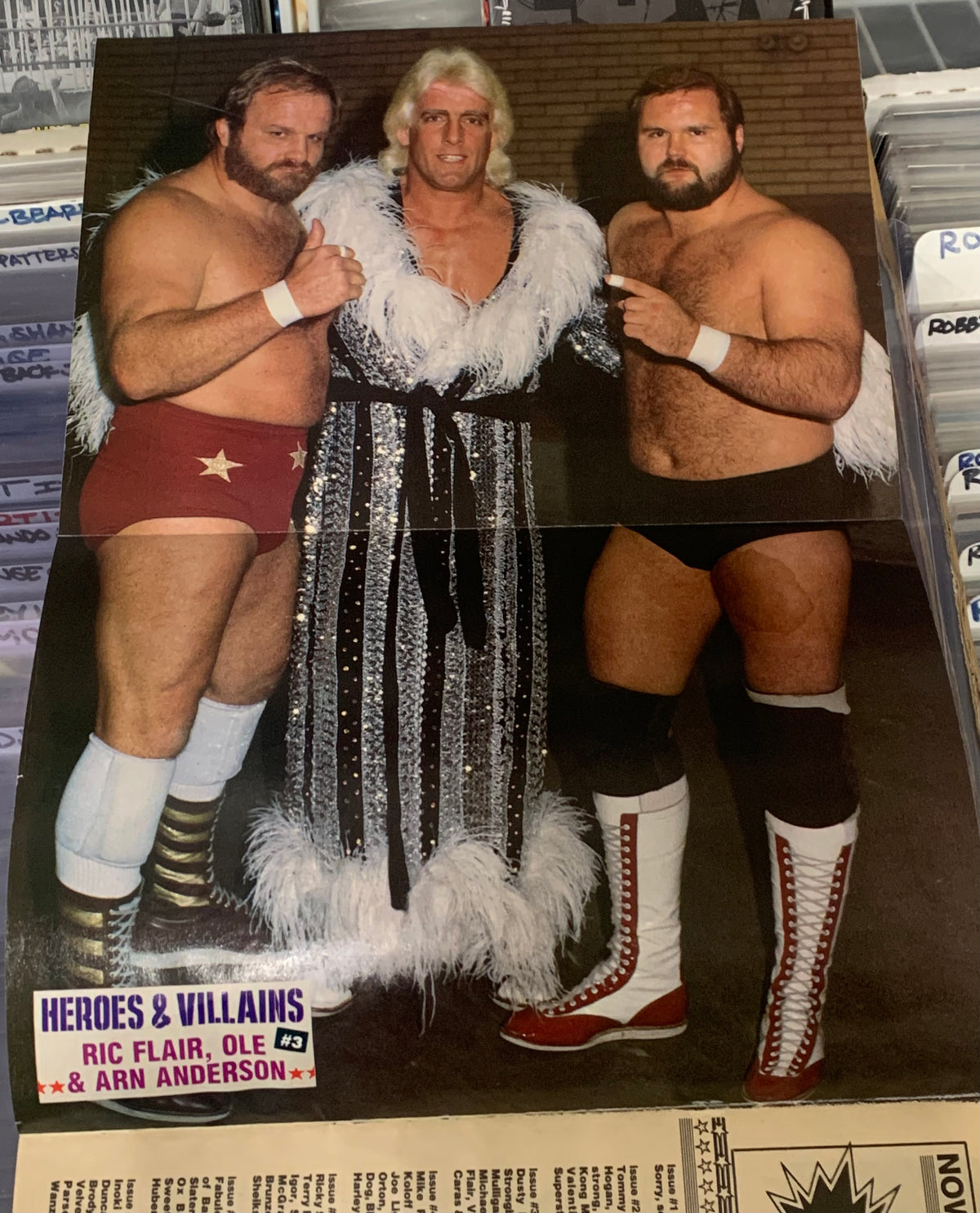 Wrestling All Stars Magazine April 1986 JYD (Poster Ric Flair, Arn & Ole Anderson)