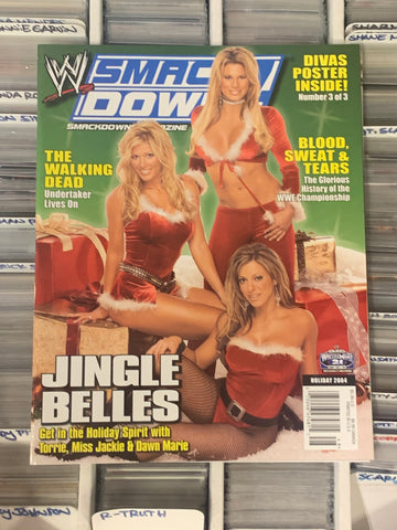 WWE Smackdown Magazine Holiday 2004 (Exclusive Huge Double Sided Divas Poster #3 of 3)!!!