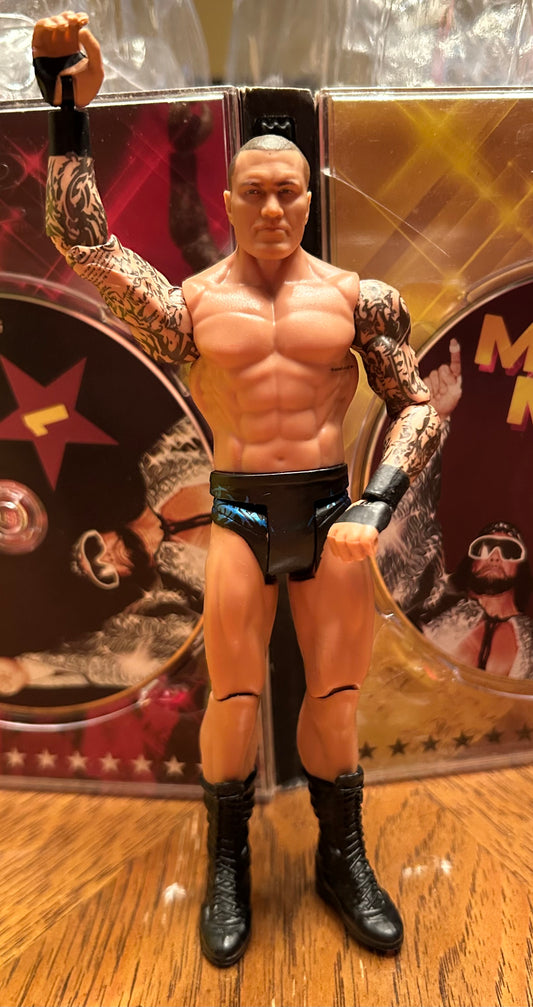 * Randy Orton WWE Mattel Action Figure