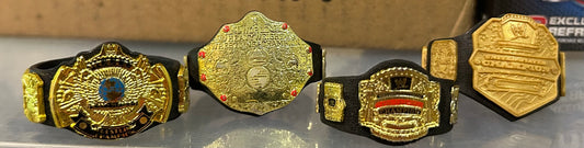 + Lot of 4 Different WWE Championship Belts