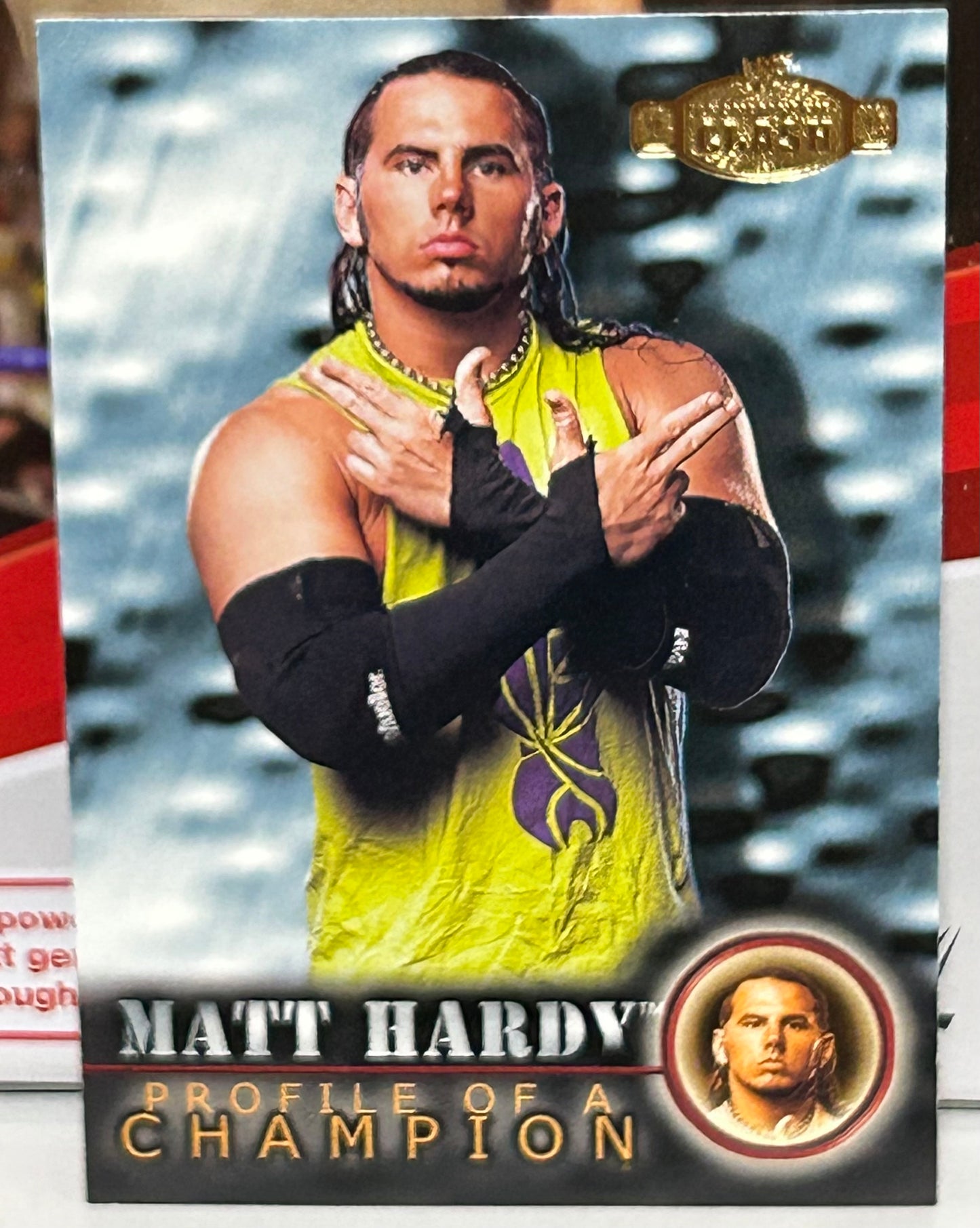 Matt Hardy 2001 Fleer “Profile of a Champion” Card