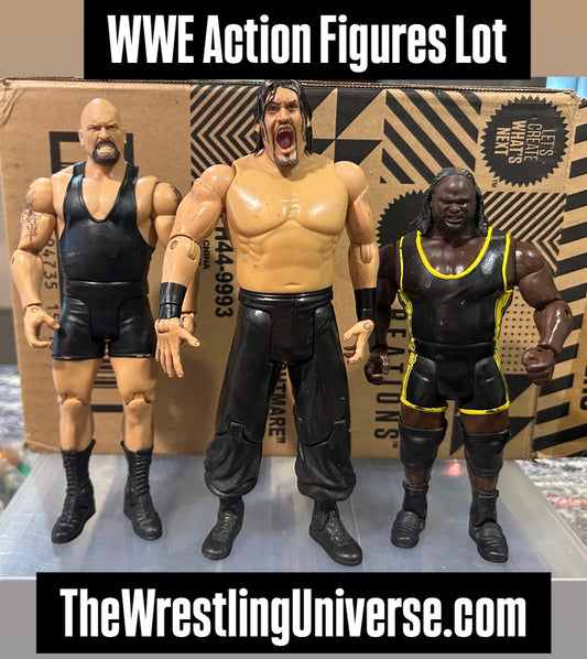 + WWE Action Figures Lot (You Get All 3 Figures)