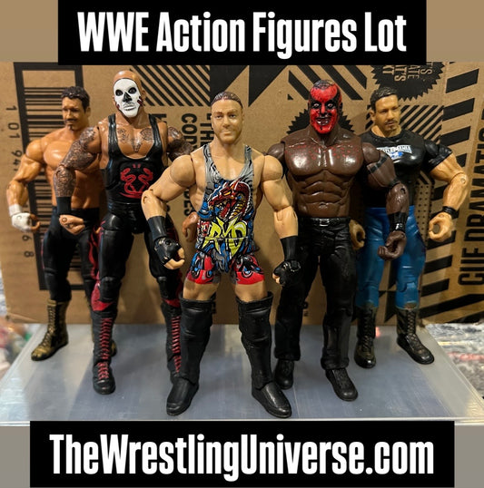 + WWE Action Figures Lot (You Get All 5 Figures)