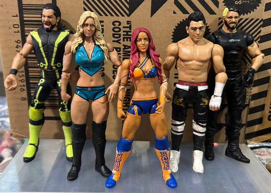 + WWE Action Figures Lot (You Get All 5 Figures)
