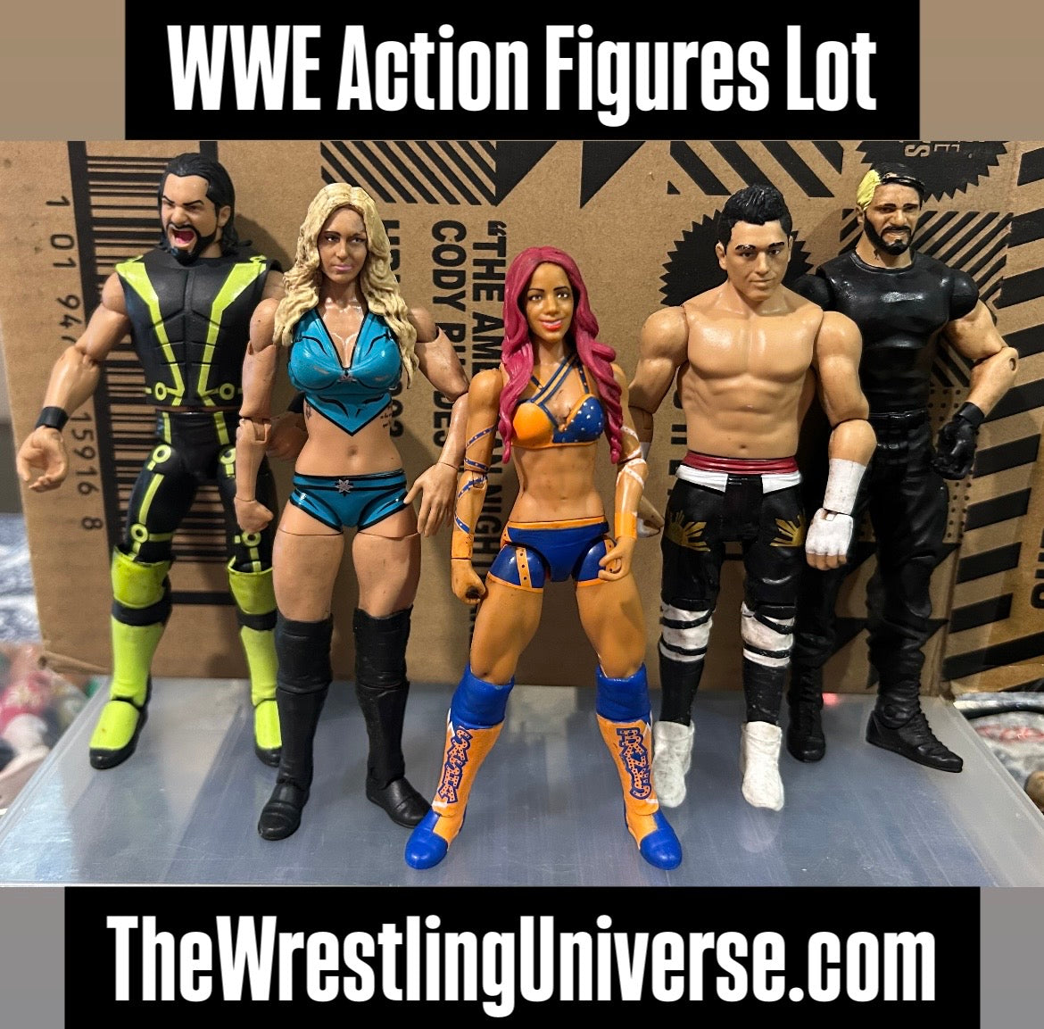 + WWE Action Figures Lot (You Get All 5 Figures)