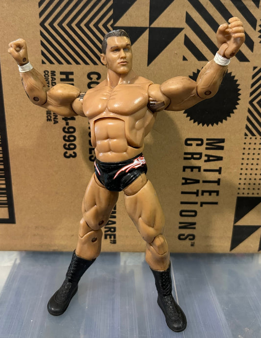 + Randy Orton WWE Jakks Deluxe Aggression Action Figure