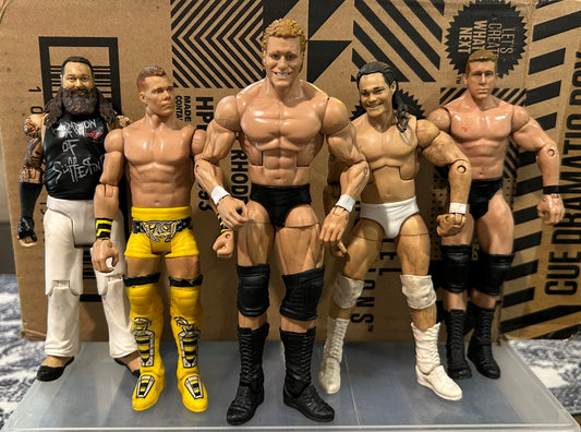 + WWE Mattel Action Figures Lot (You Get All 5 Figures)