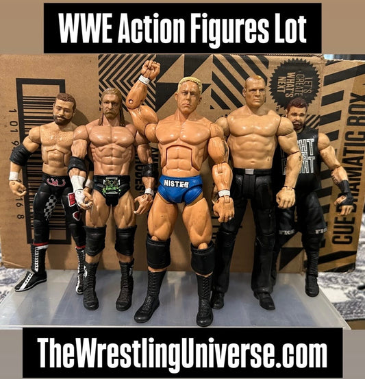 + WWE Mattel Action Figures Lot (You Get All 5 Figures)