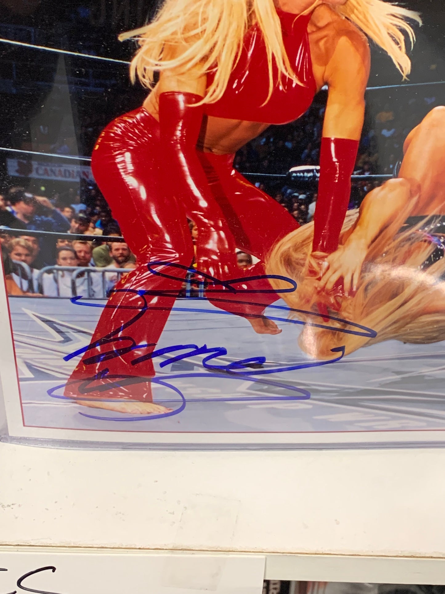 Torrie Wilson Signed Official WCW Promo Photo