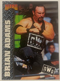 Brian Adams (WWE Crush) 1999 WCW Nitro Topps Card