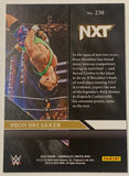 Bron Breakker 2023 WWE NXT Panini Chronicles Limited Card