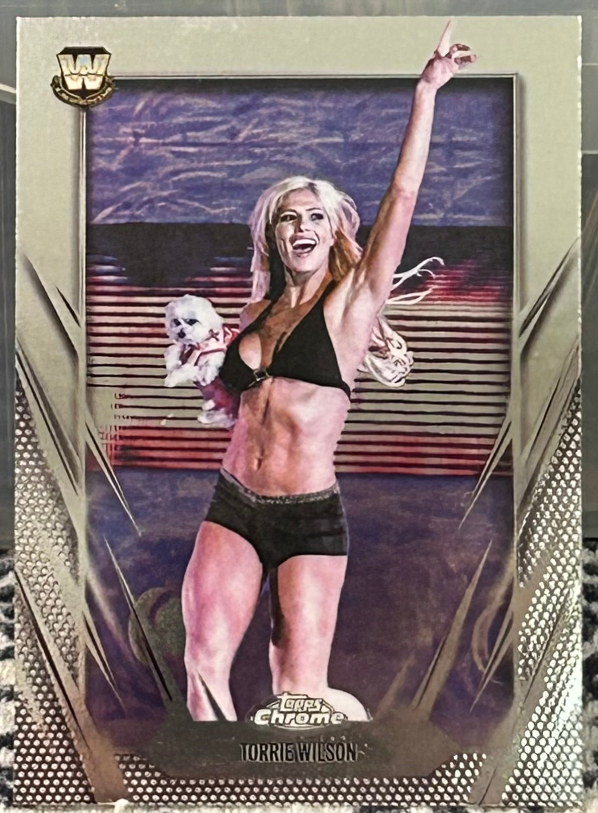 + Torrie Wilson 2026 WWE Topps Chrome Card