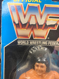 Marty Jannetty WWF WWE Hasbro Action Figure