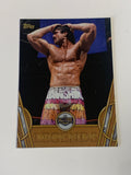 Ravishing Rick Rude 2018 WWE Topps Legends “Hall of Fame” Bro ze Parallel Card!!!