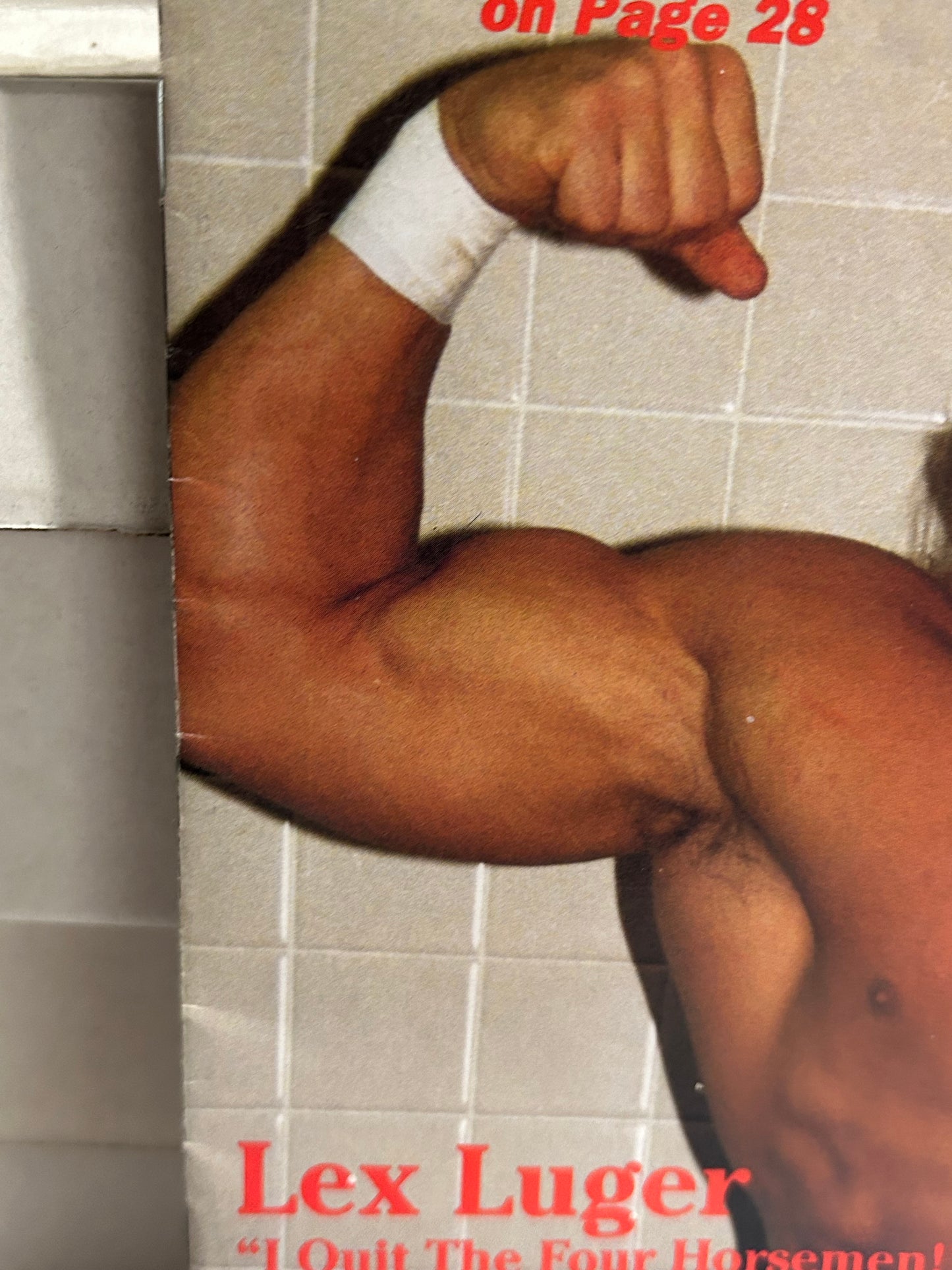 NWA Pro Wrestling Digest Magazine Vol 1 #2