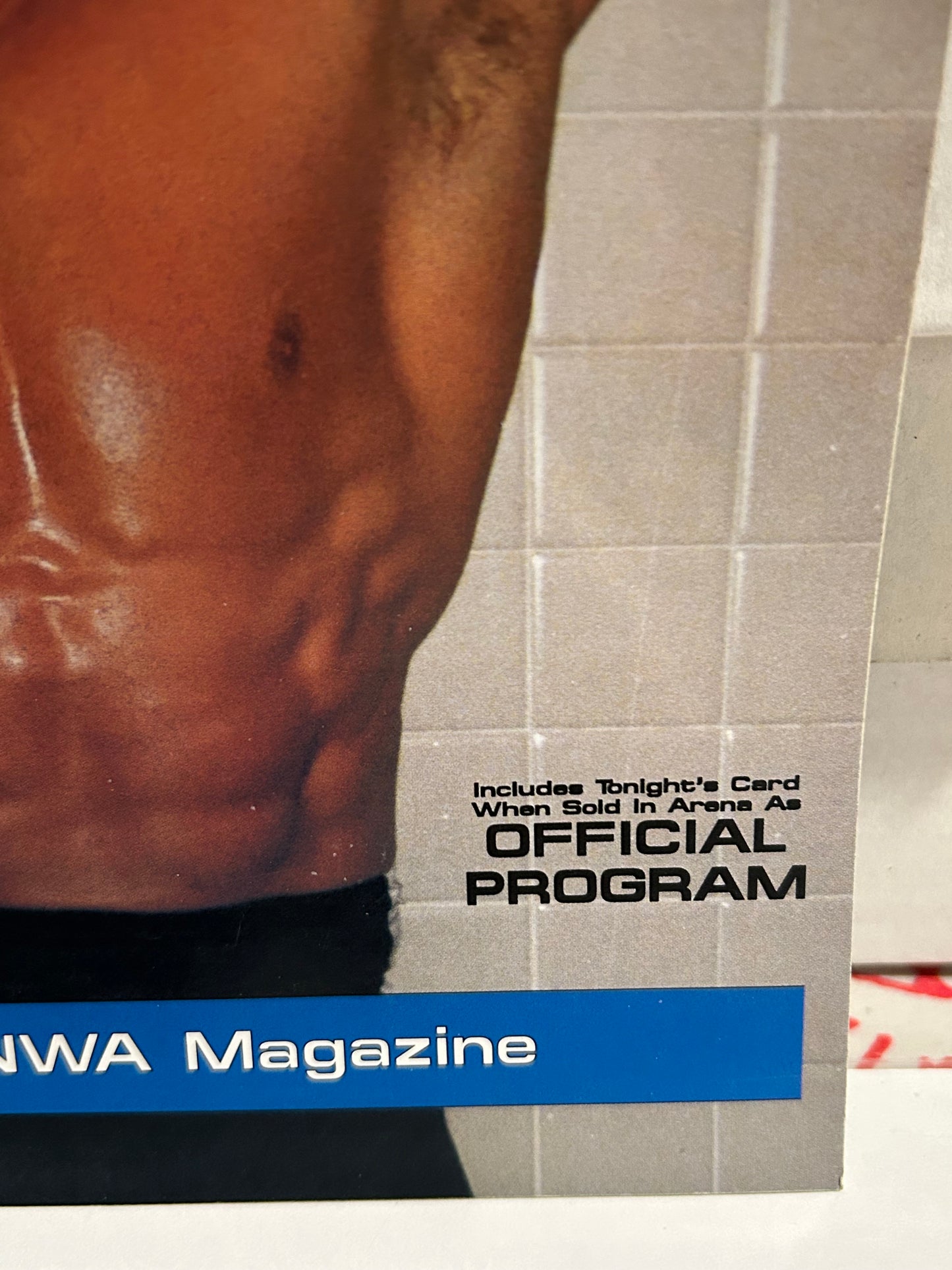 NWA Pro Wrestling Digest Magazine Vol 1 #2