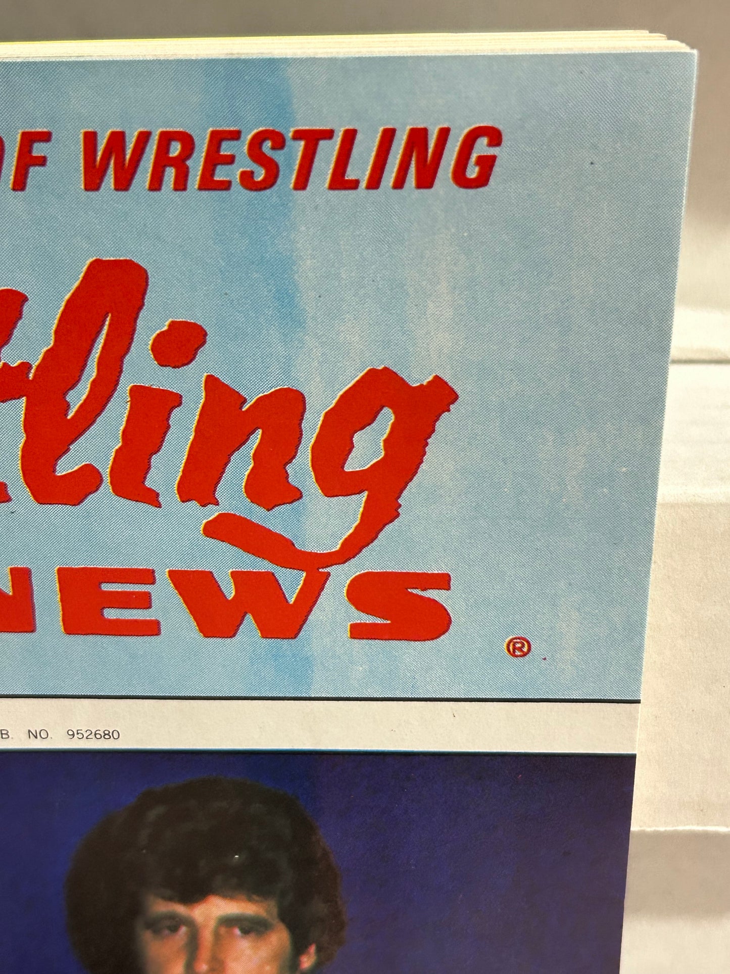 The Wrestling News Magazine #49 WWWF Edition (Full Color Poster)
