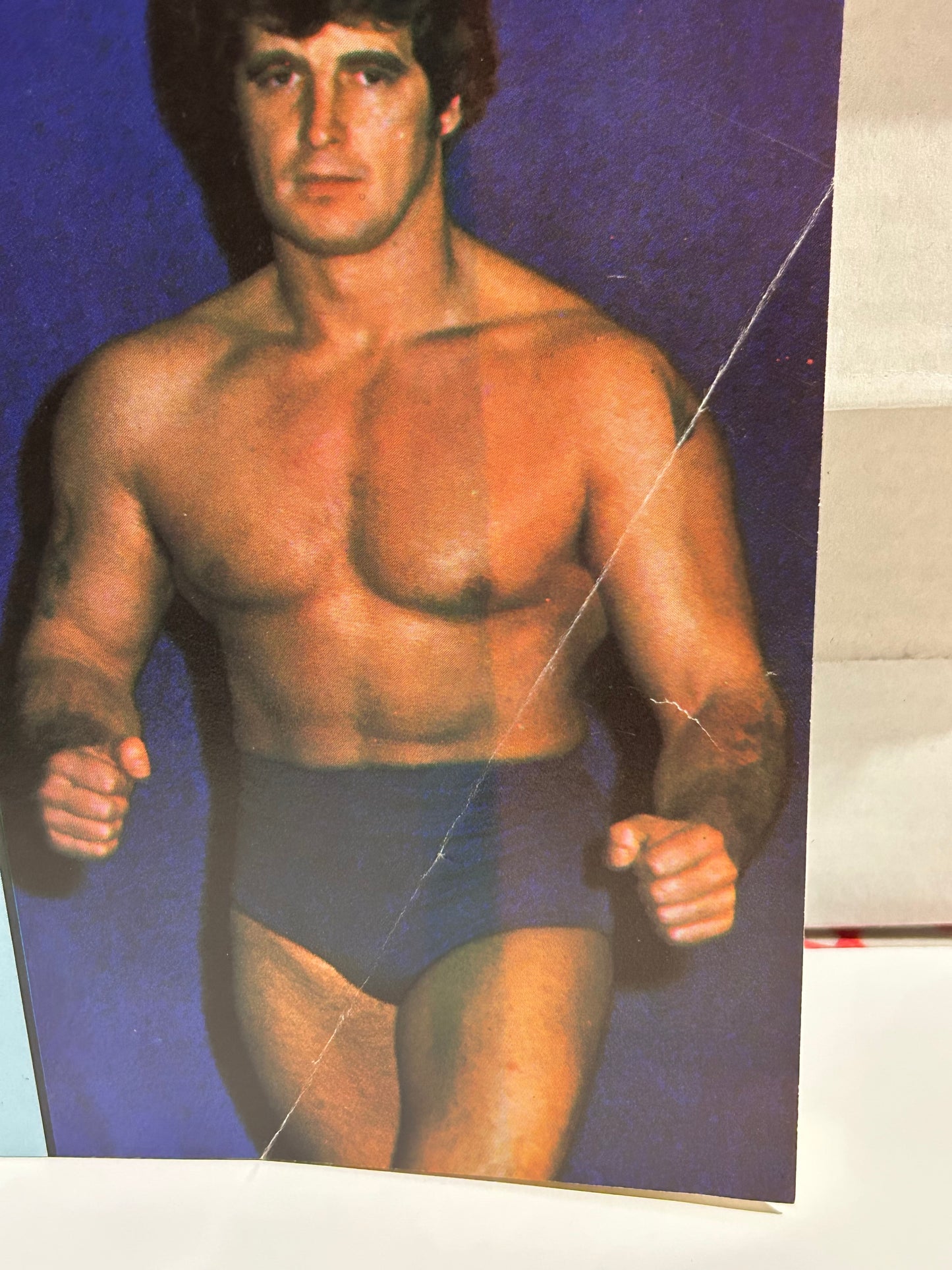 The Wrestling News Magazine #49 WWWF Edition (Full Color Poster)