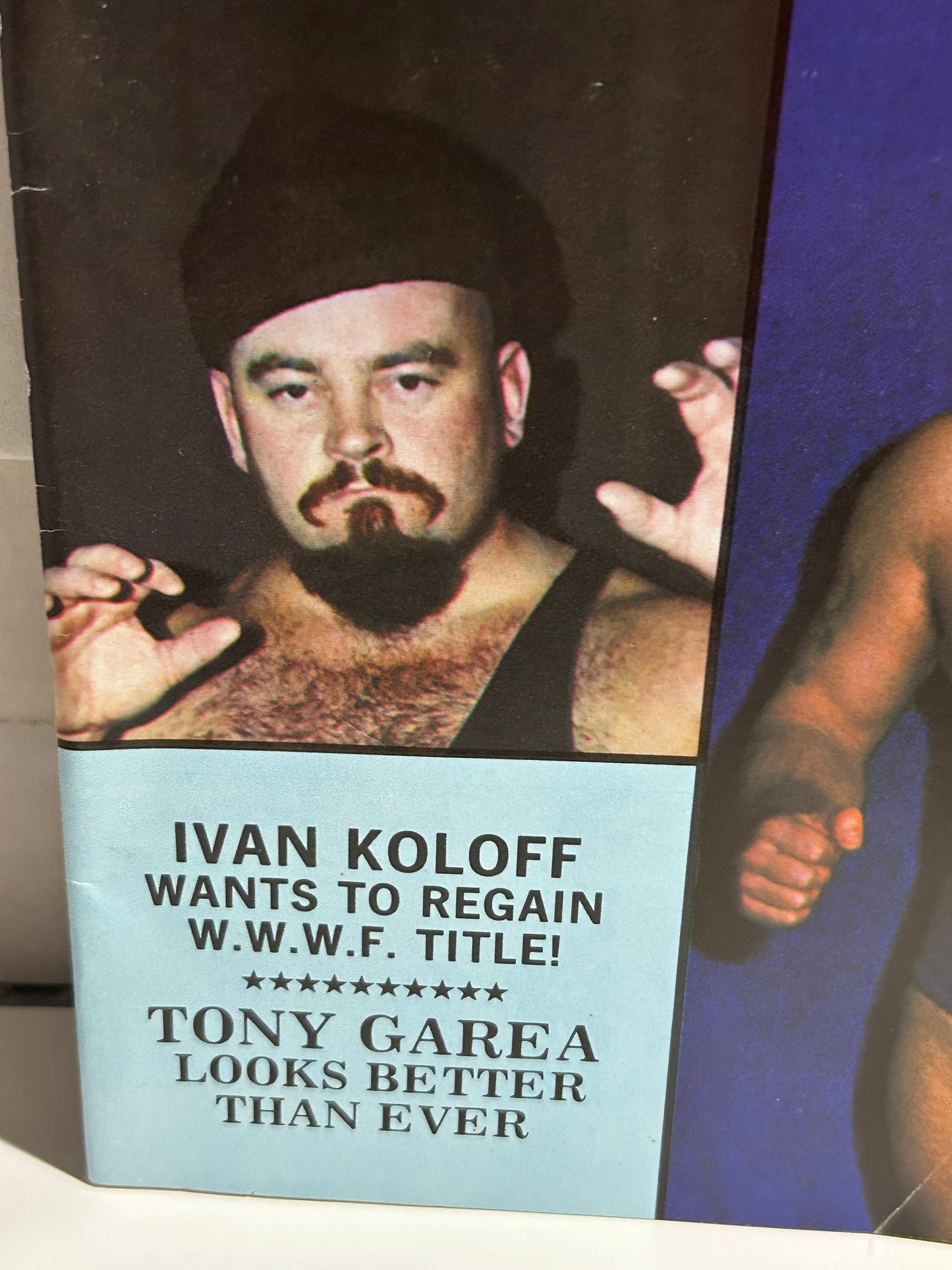 The Wrestling News Magazine #49 WWWF Edition (Full Color Poster)