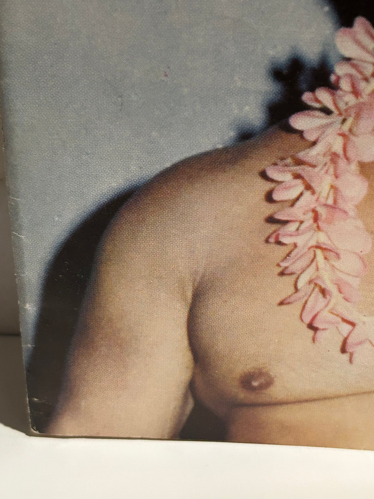 The Wrestling News Magazine Edition #26 (June/July 1974)