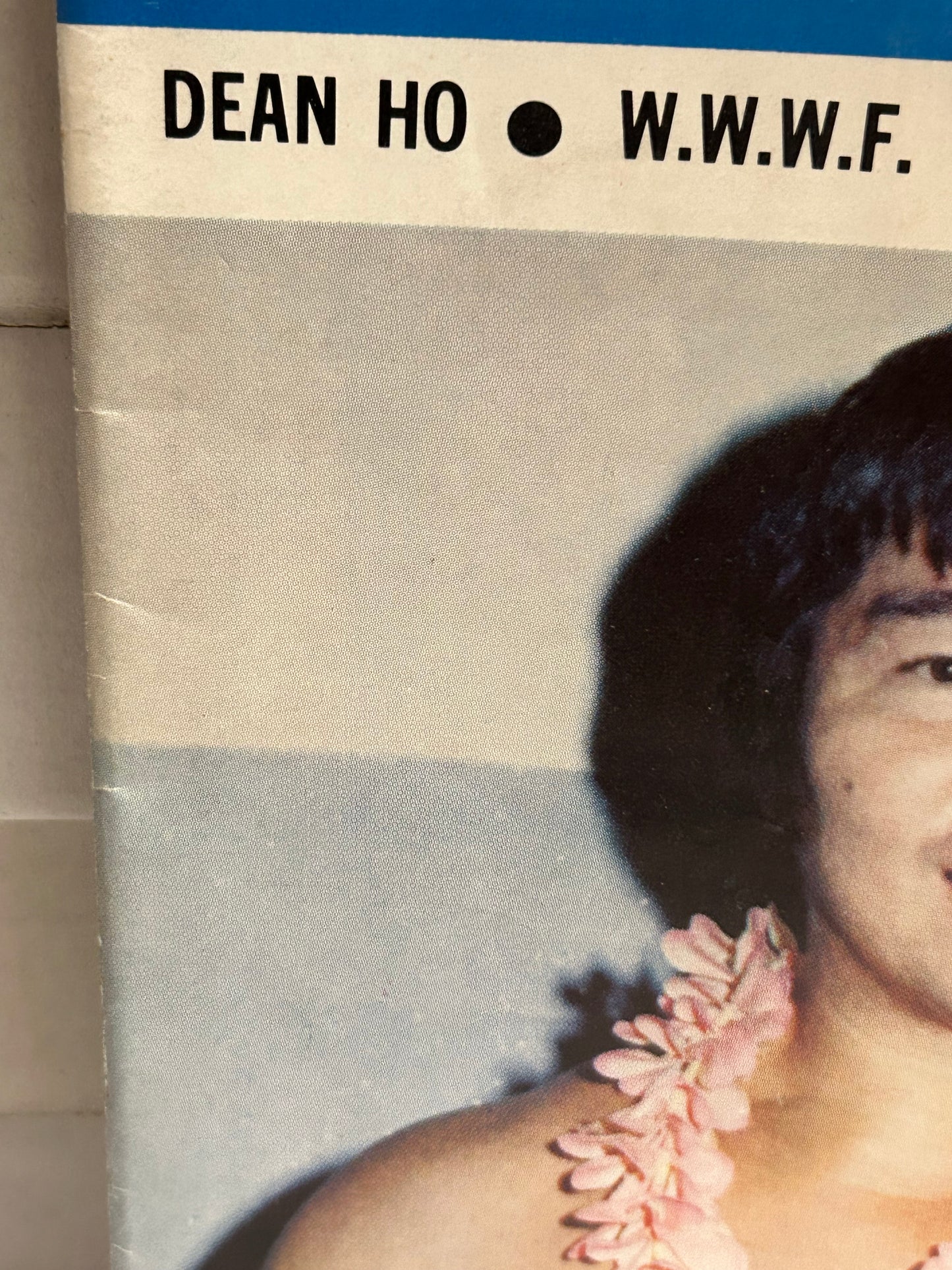 The Wrestling News Magazine Edition #26 (June/July 1974)