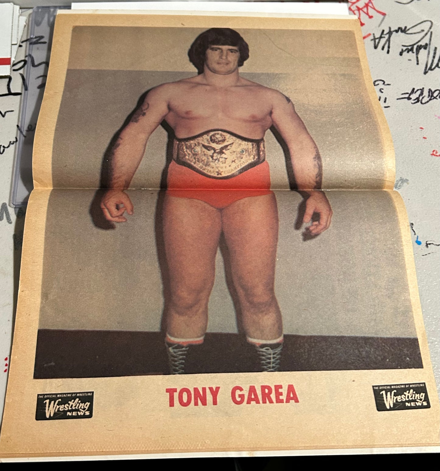 The Wrestling News Magazine Edition #26 (June/July 1974)