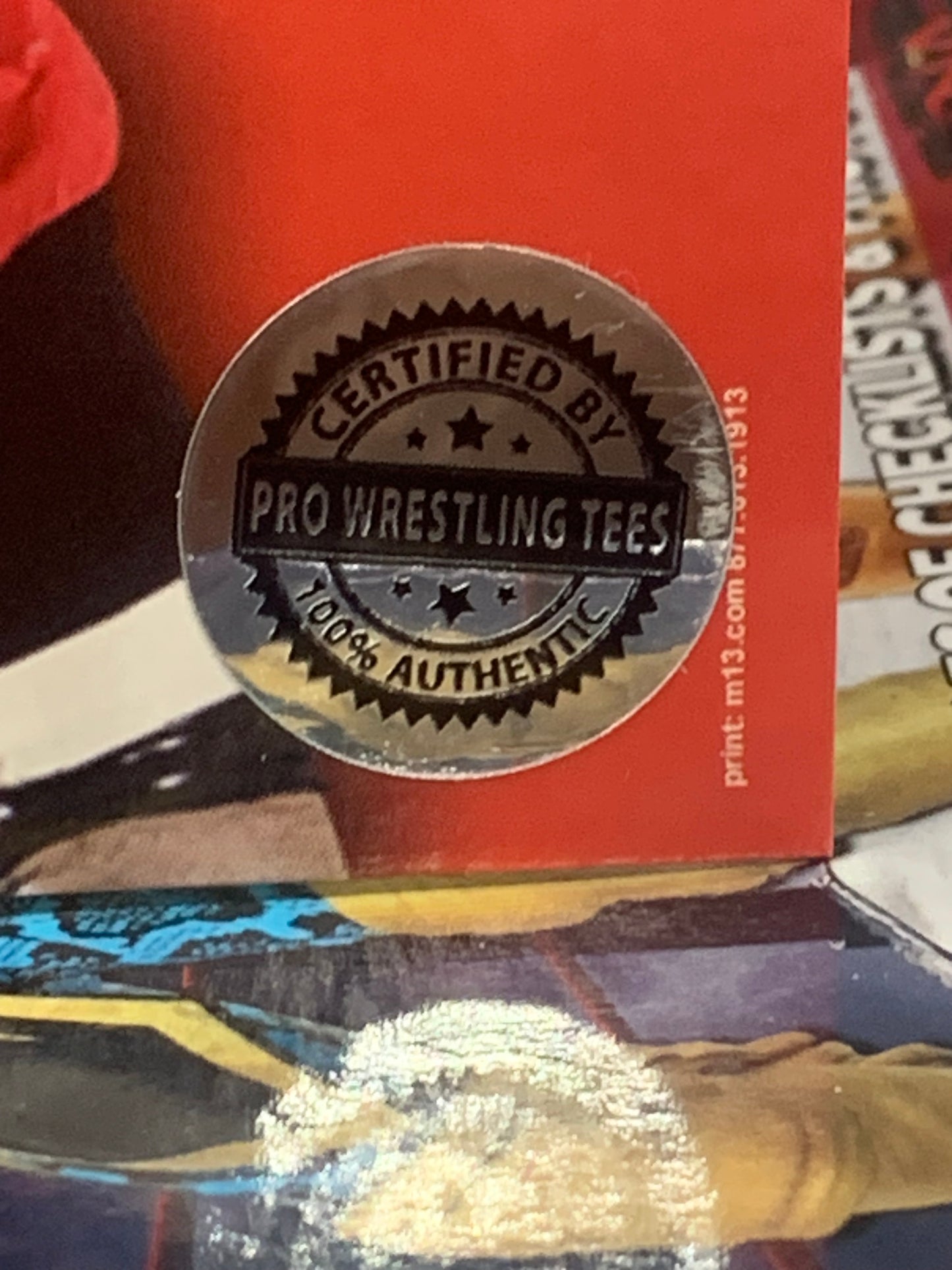 Chris Hero Signed 8x10 Color Photo (Pro Wrestling Tee’s Authenticated)