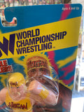 Hulk Hogan WCW Toymakers Action Figure (Very Rare)!!!