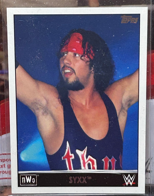X-Pac 2015 WWE Topps NWO Insert Card (New World Order)
