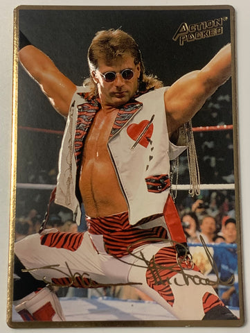 Shawn Michaels 1994 WWE Action Packed Card