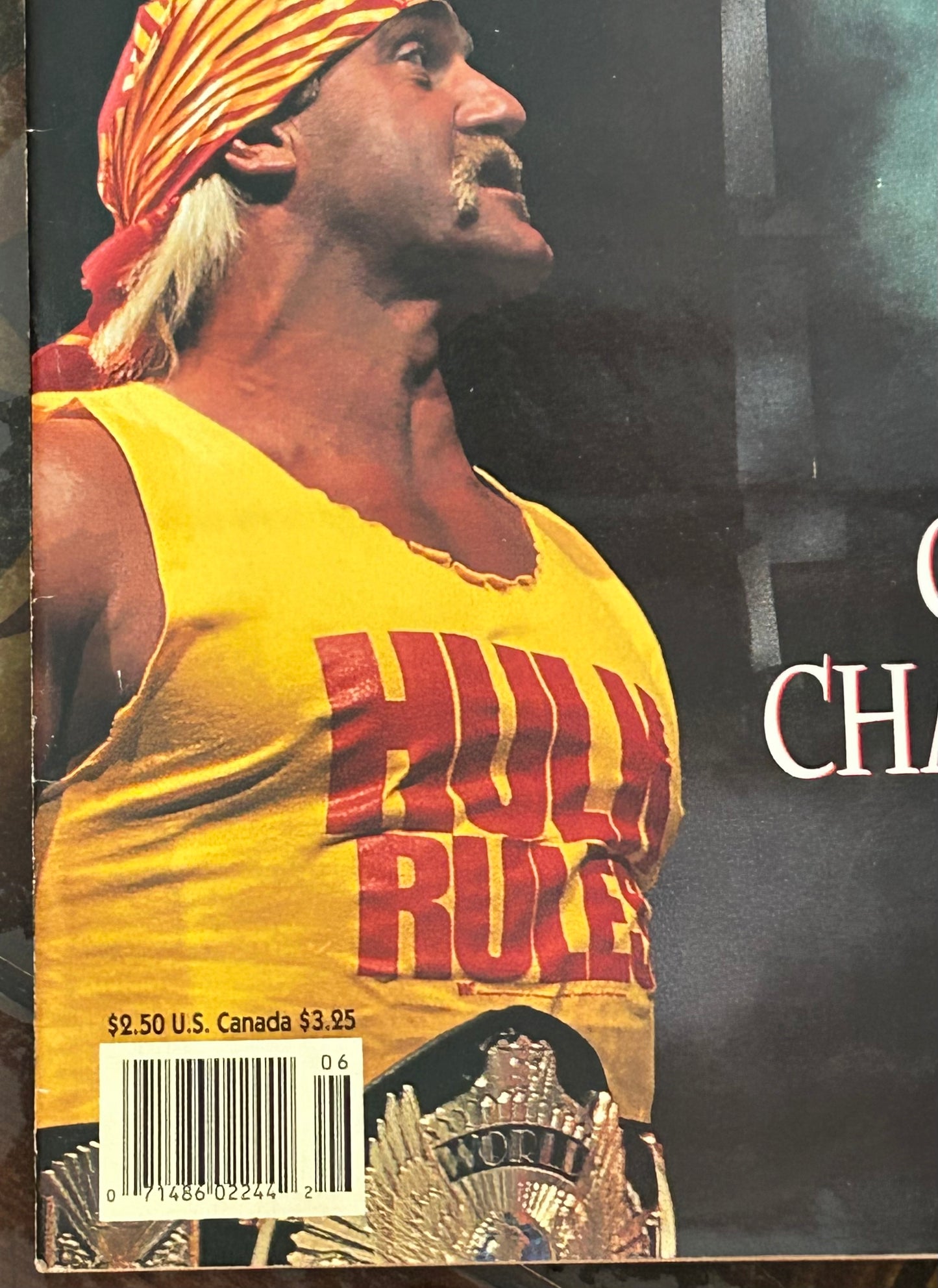 * WWE Magazine “Survivor Series 1991” Official Program (Hogan, Undertaker)