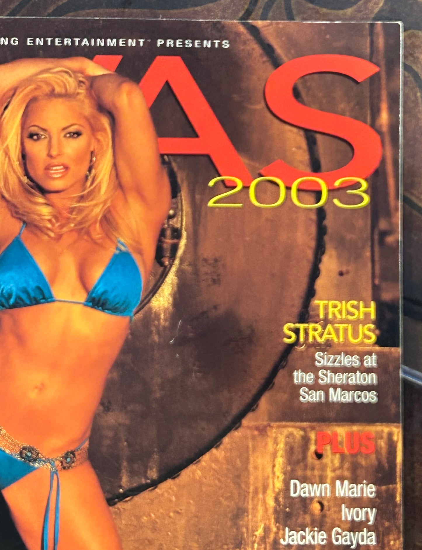 * WWE Divas 2003 “Desert Heat” Magazine (Trish Stratus, Keibler, Dawn Marie & more)