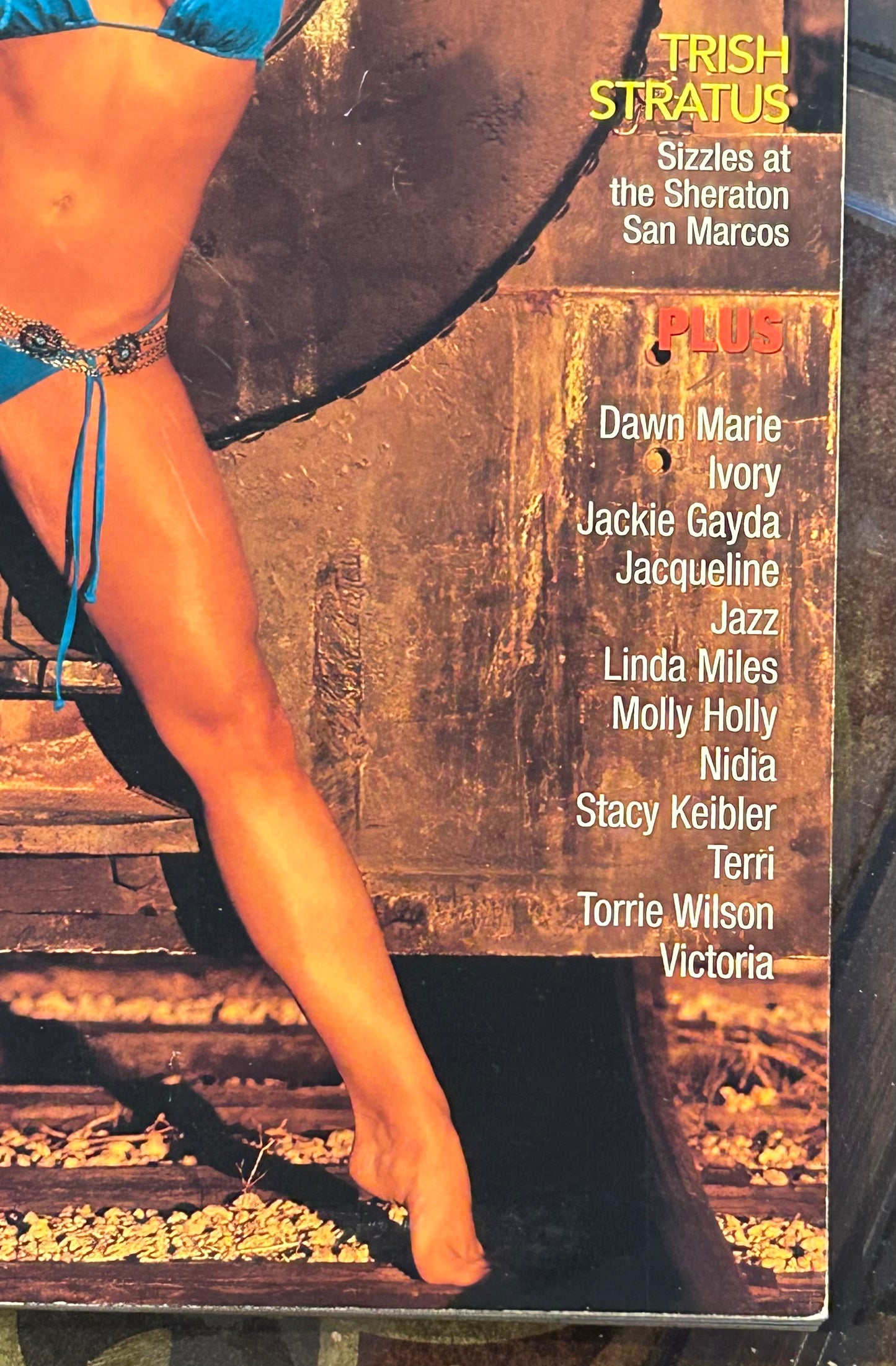 * WWE Divas 2003 “Desert Heat” Magazine (Trish Stratus, Keibler, Dawn Marie & more)