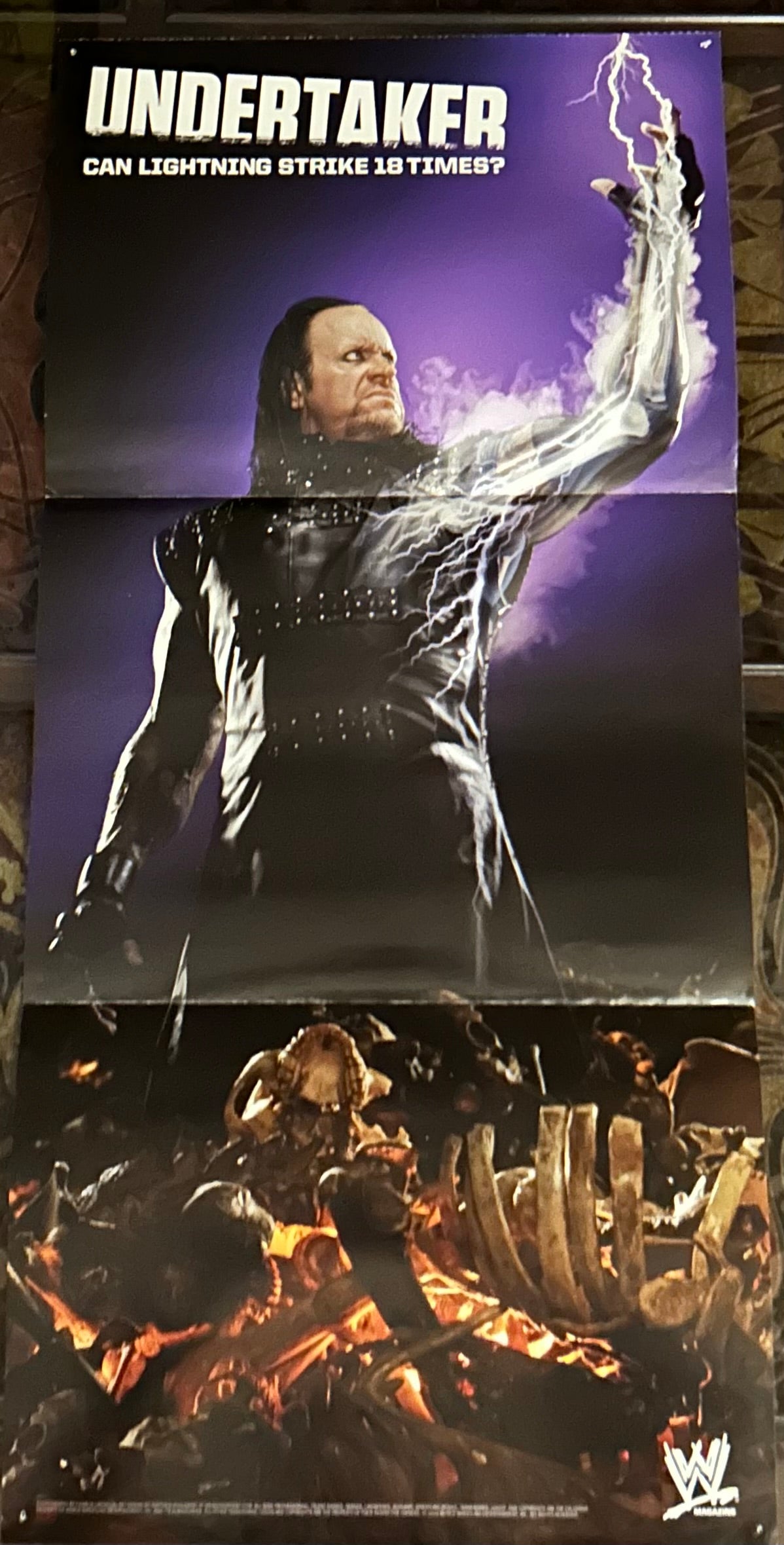 * WWE The Undertaker Full Color Poster