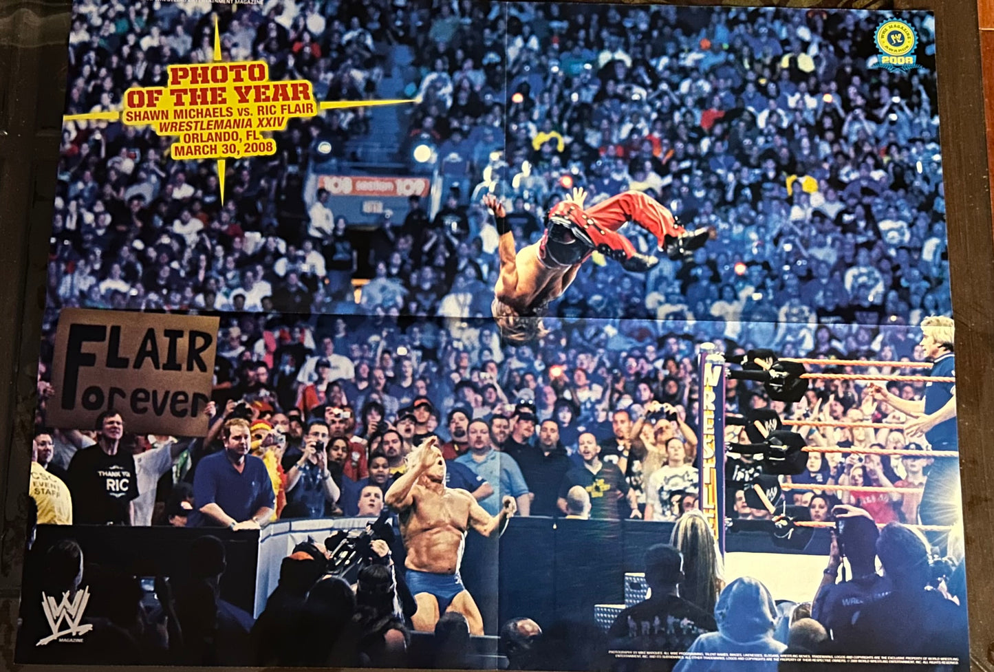 * Shawn Michaels & Ric Flair Full Color Poster
