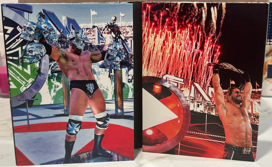 + WWE DVD “Wrestlemania 31” (3-Disc Set, Including The Hall of Fame)