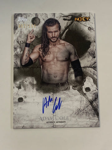 Adam Cole 2018 WWE Topps Undisputed NXT Signed Auto Card #92/199 (Adam Cole Bay Bay)!!!