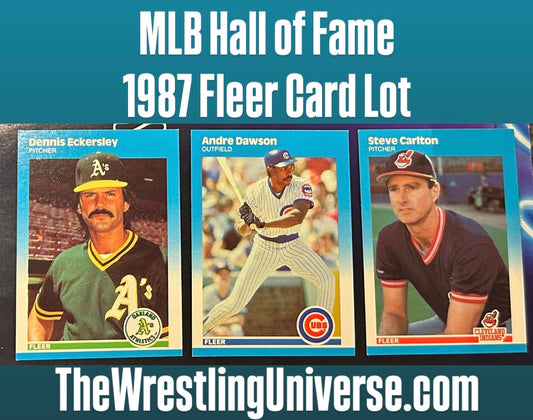 * 1987 Fleer MLB Hall of Fame Baseball Cards Lot