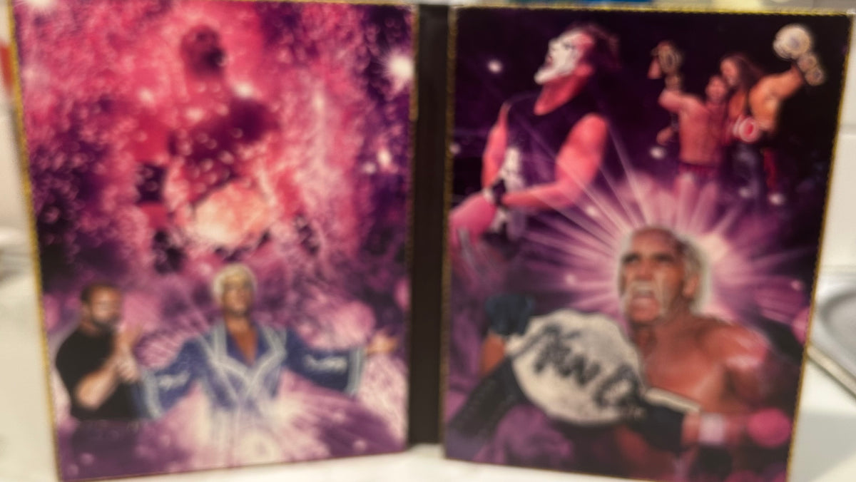 + “The Rise & Fall of WCW DVD’s (3-Disc Set)