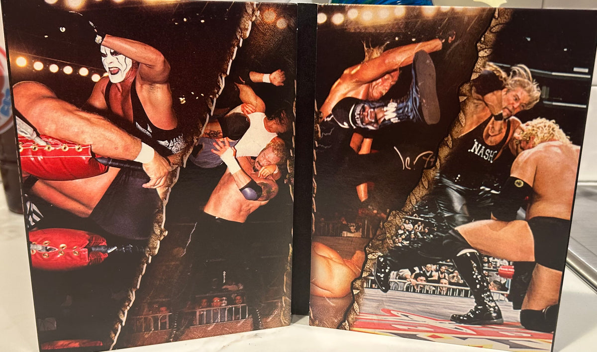 + “The Very Best of WCW Monday Nitro DVD’s” (3-Disc Set)