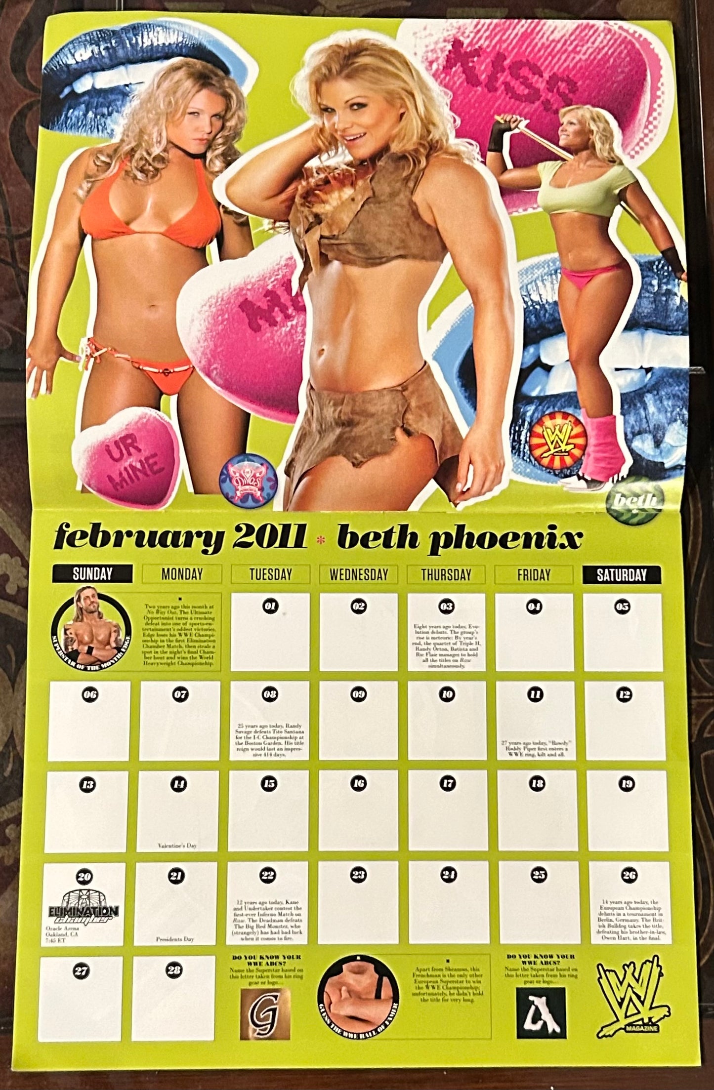 * WWE Official Divas 2011 Calendar (Awesome Pictures)