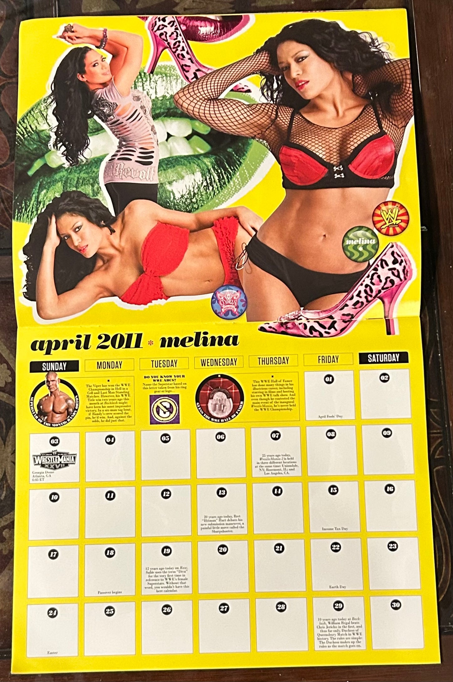* WWE Official Divas 2011 Calendar (Awesome Pictures)