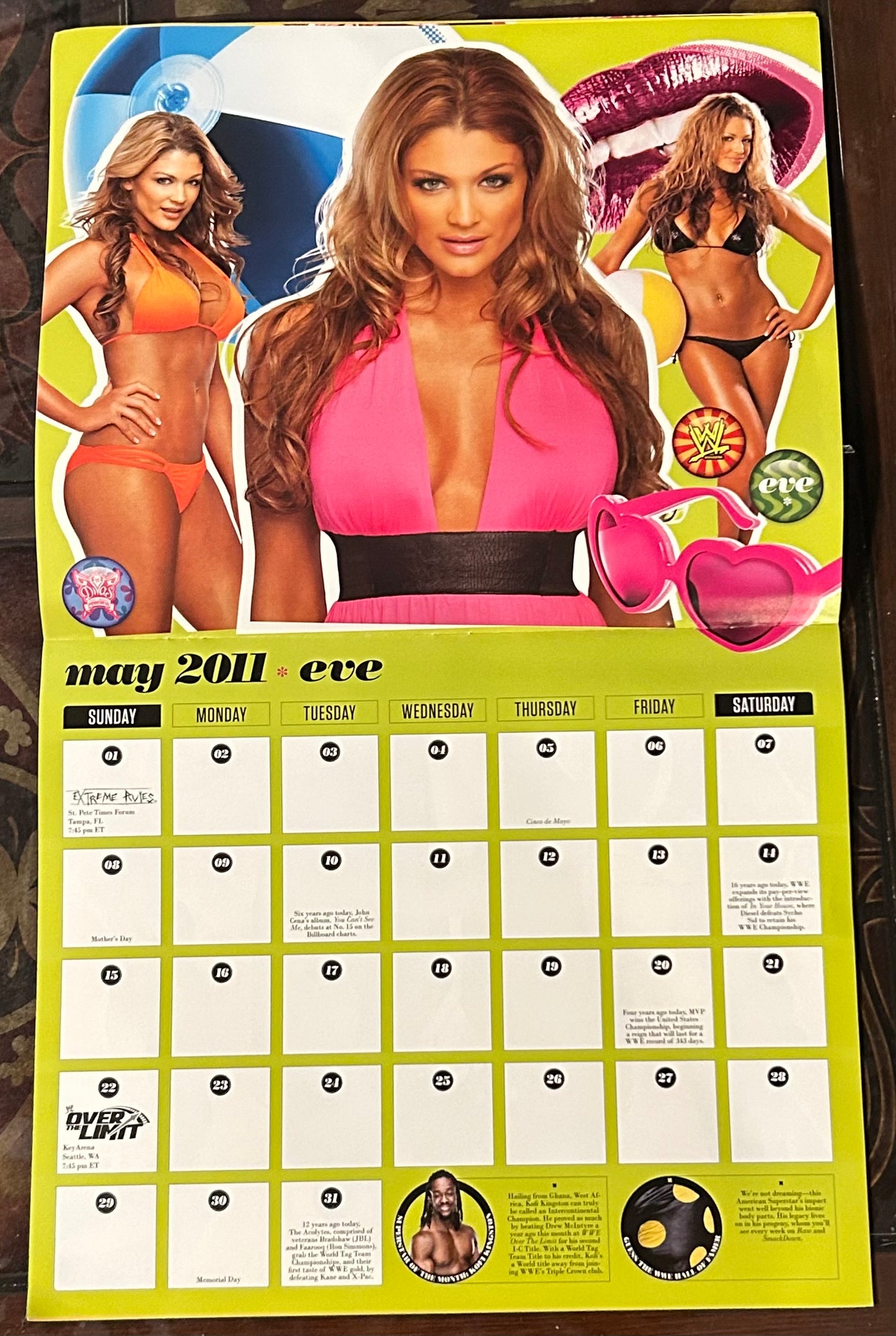 * WWE Official Divas 2011 Calendar (Awesome Pictures)