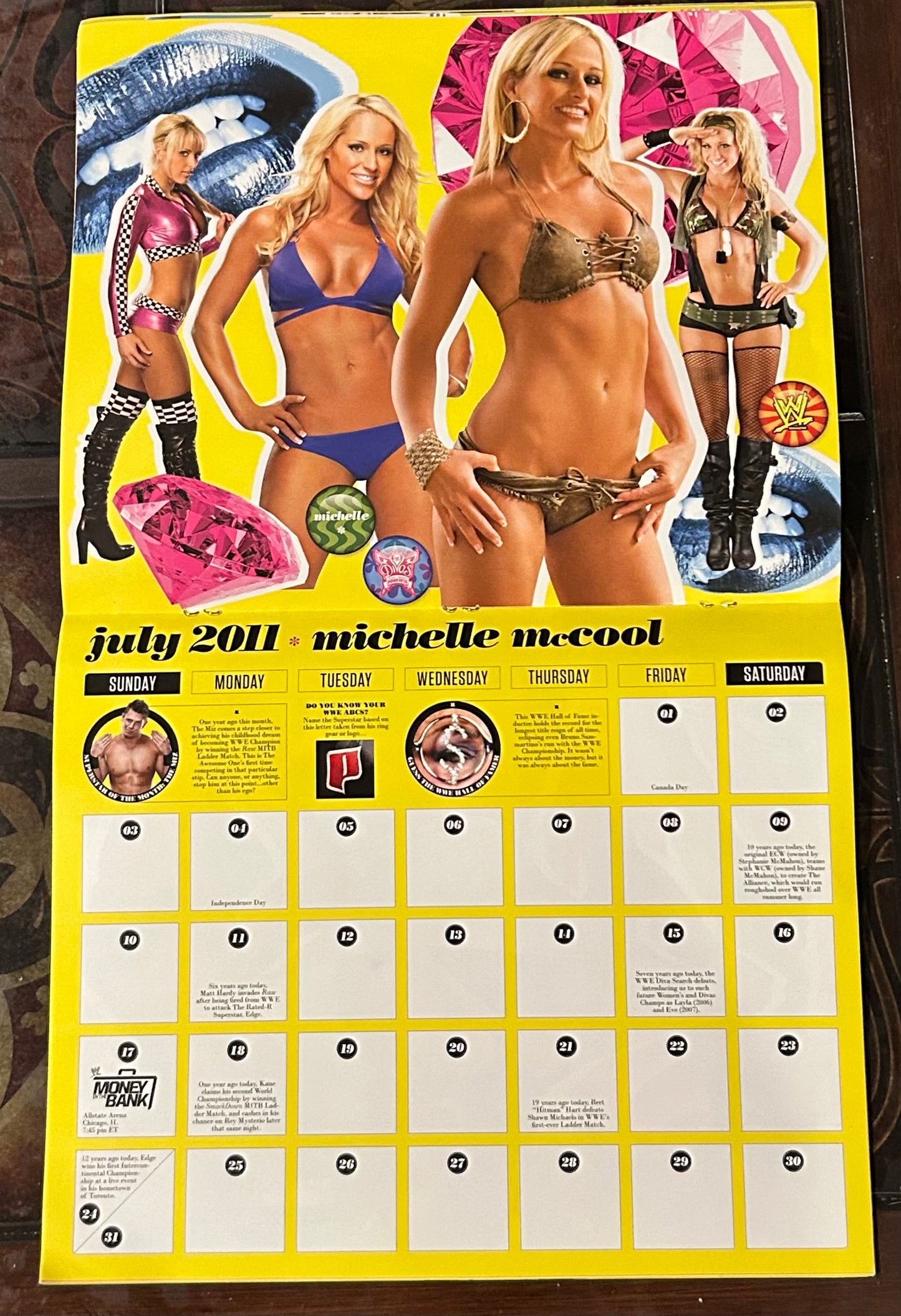 * WWE Official Divas 2011 Calendar (Awesome Pictures)