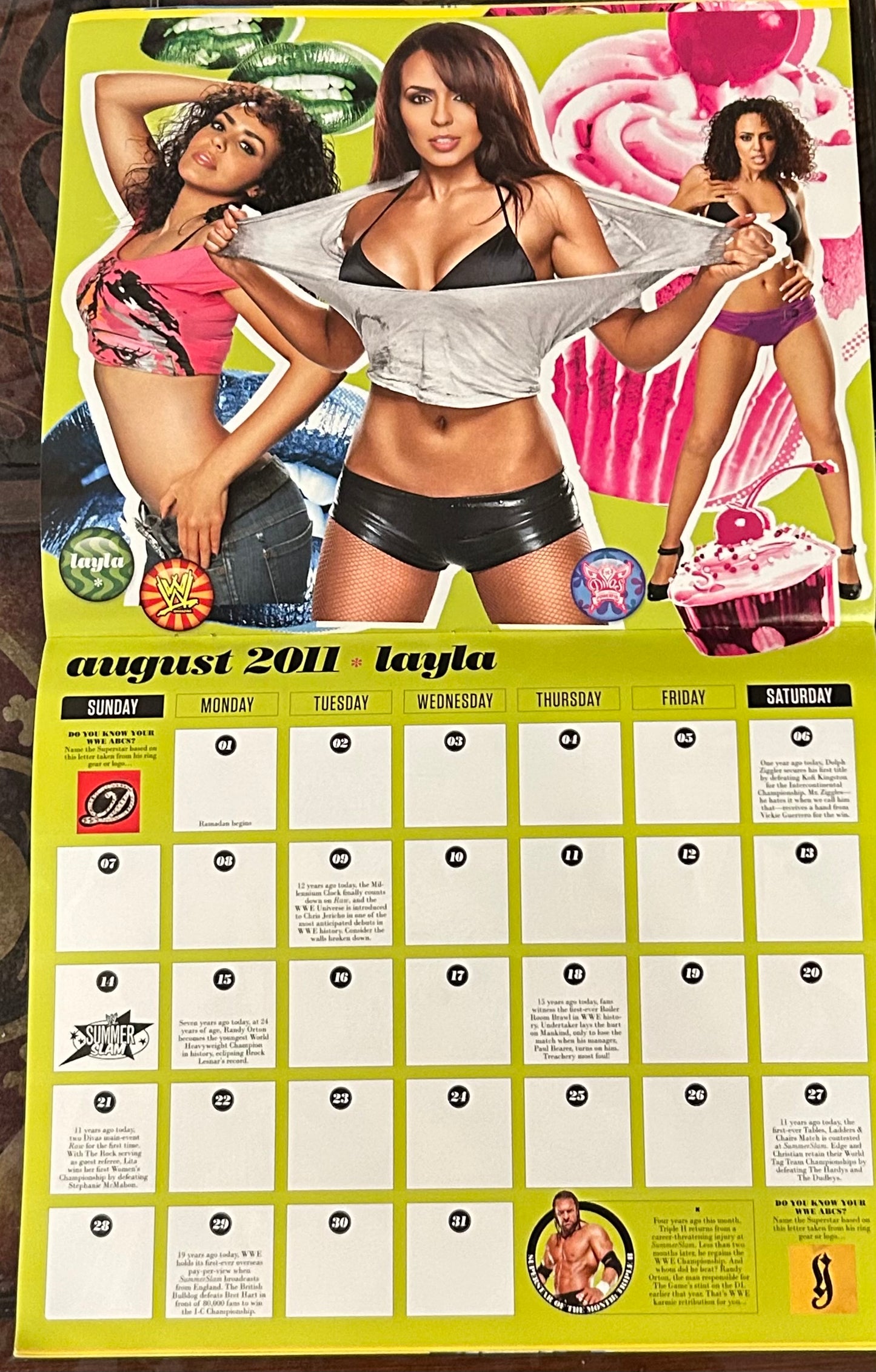 * WWE Official Divas 2011 Calendar (Awesome Pictures)