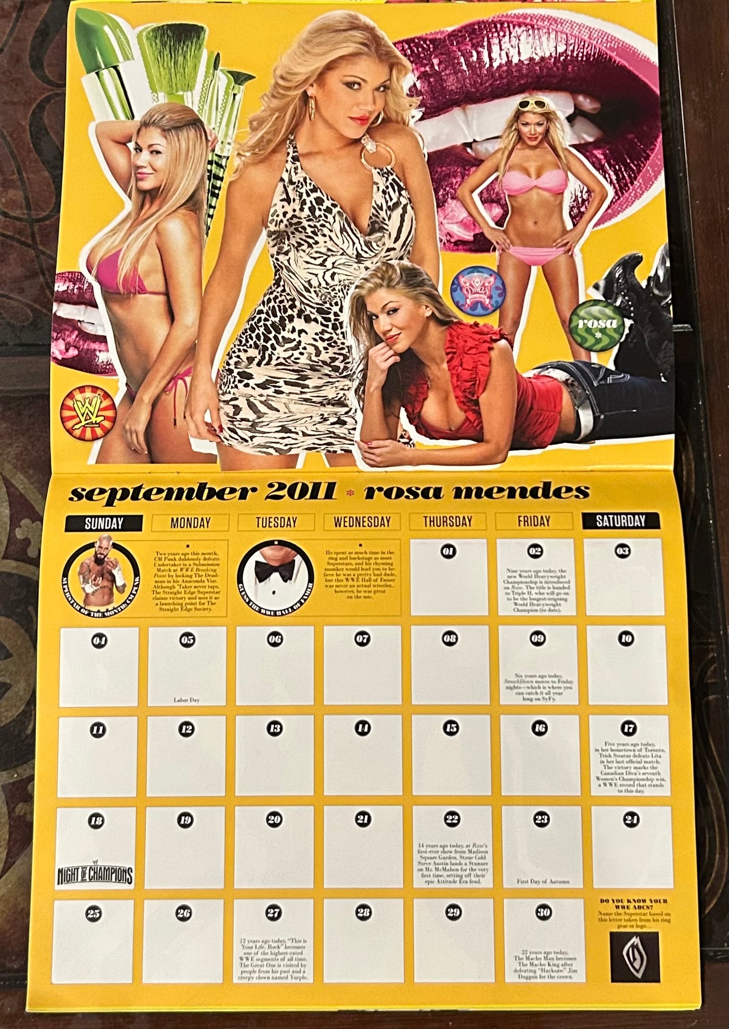 * WWE Official Divas 2011 Calendar (Awesome Pictures)