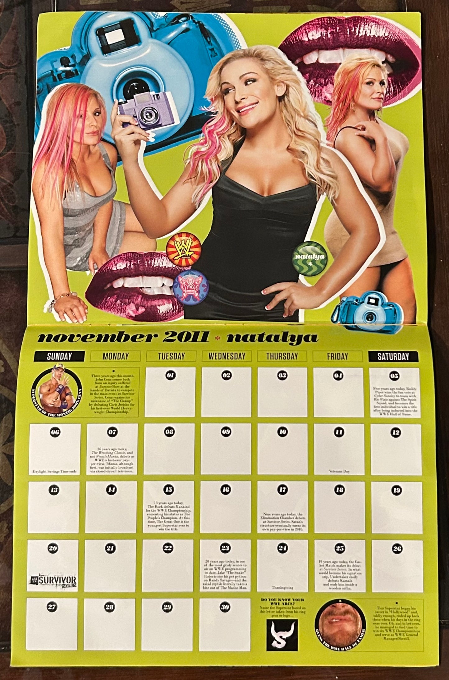 * WWE Official Divas 2011 Calendar (Awesome Pictures)