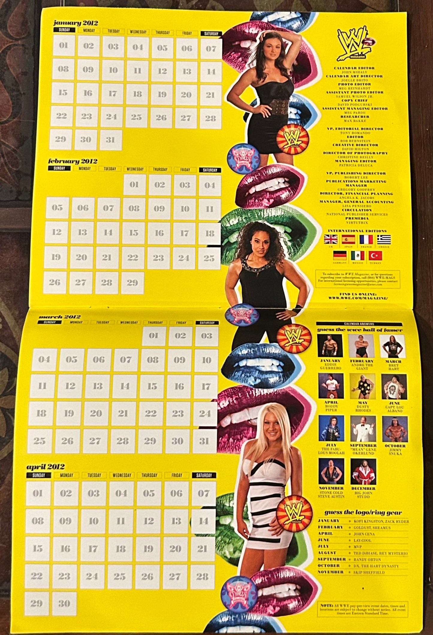* WWE Official Divas 2011 Calendar (Awesome Pictures)